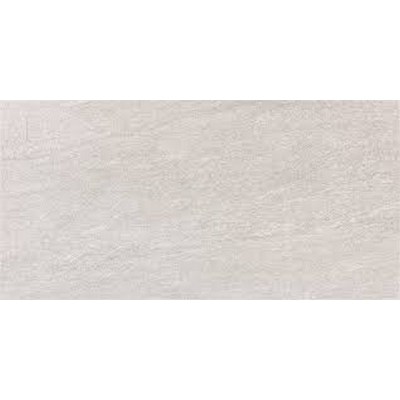 50459
